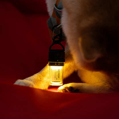 Flextail Zero Lantern glowing inside a camping chair with a dog