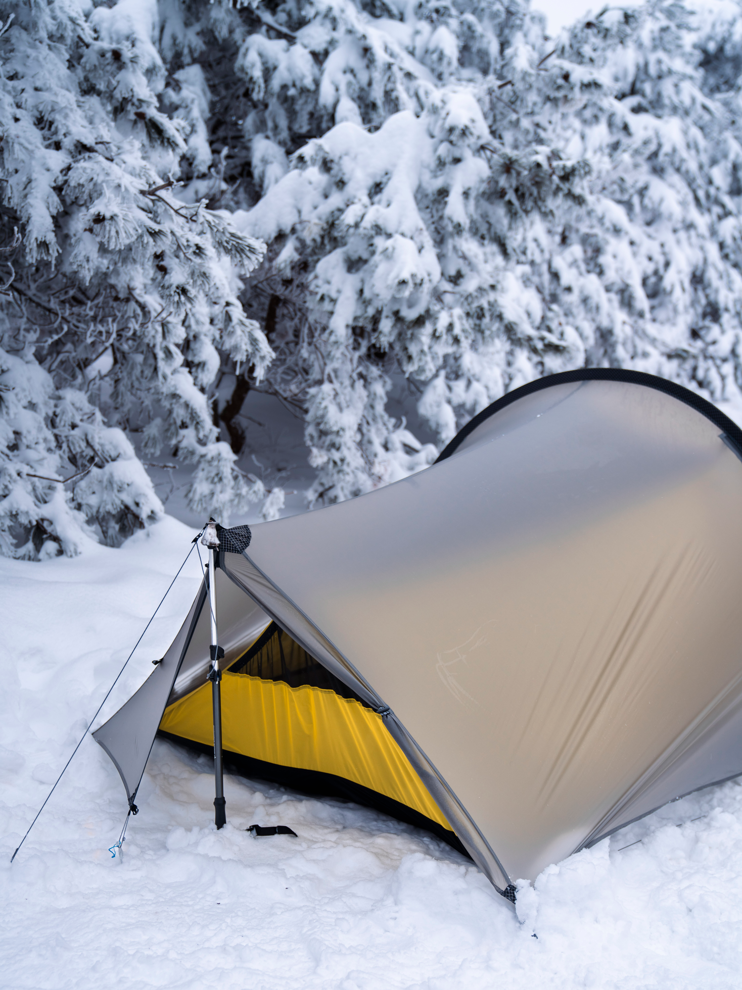 TFS tent, TFS Enran, outer and inner tent