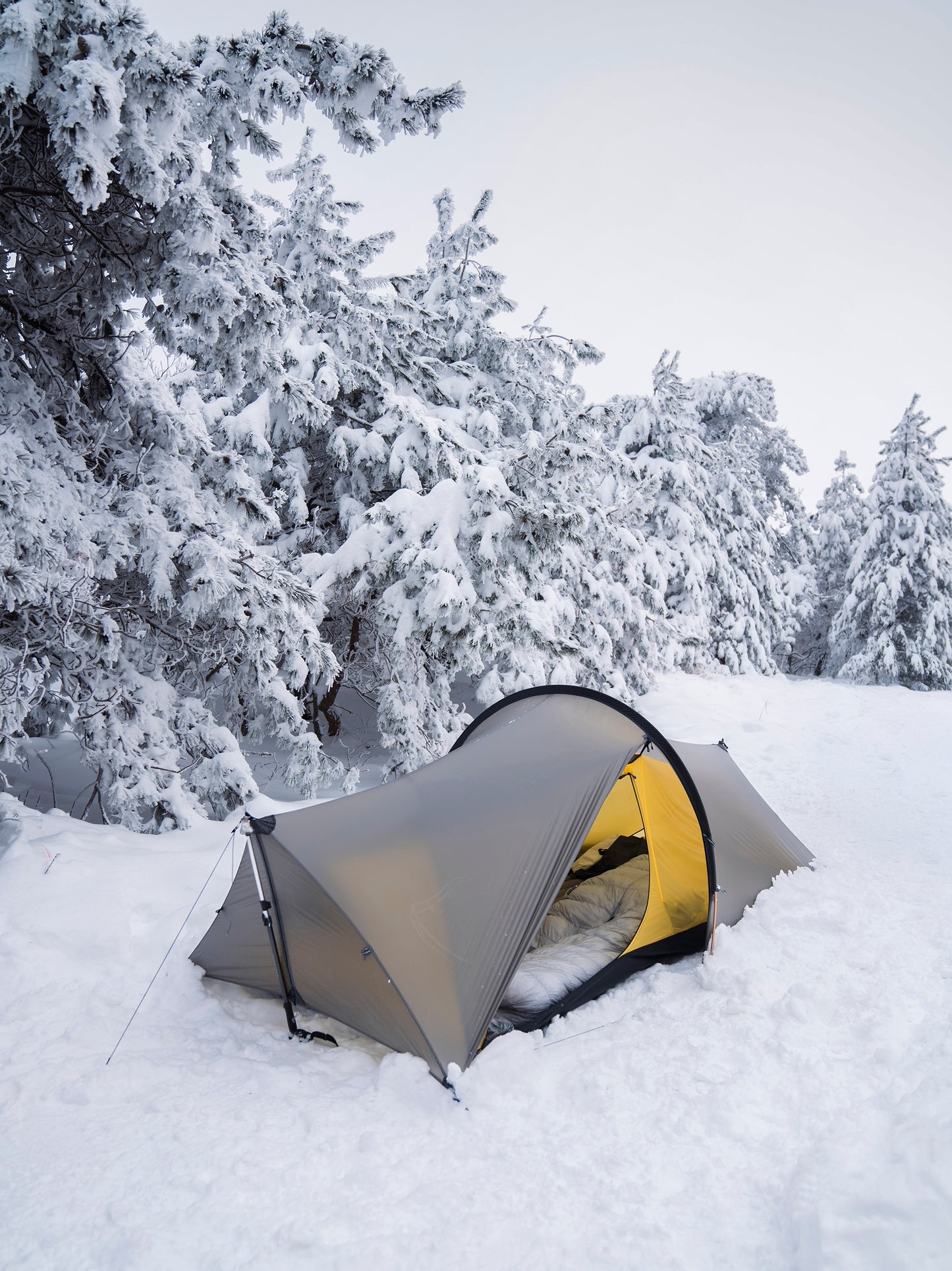 TFS tent, TFS Enran, outer and inner tent