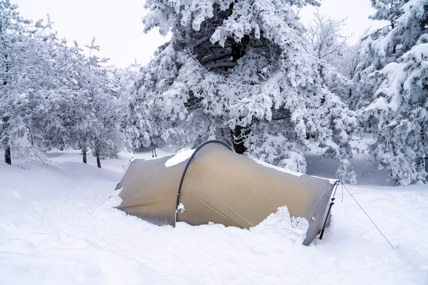 TFS tent, TFS Enran, outer tent